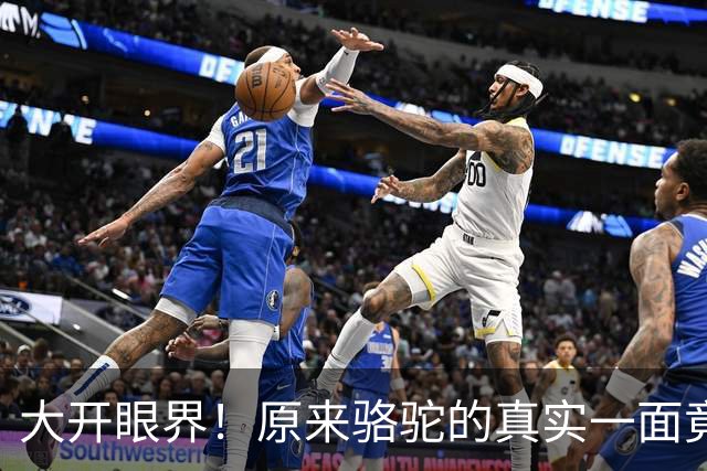 大开眼界！原来骆驼的真实一面竟然这样吓人！